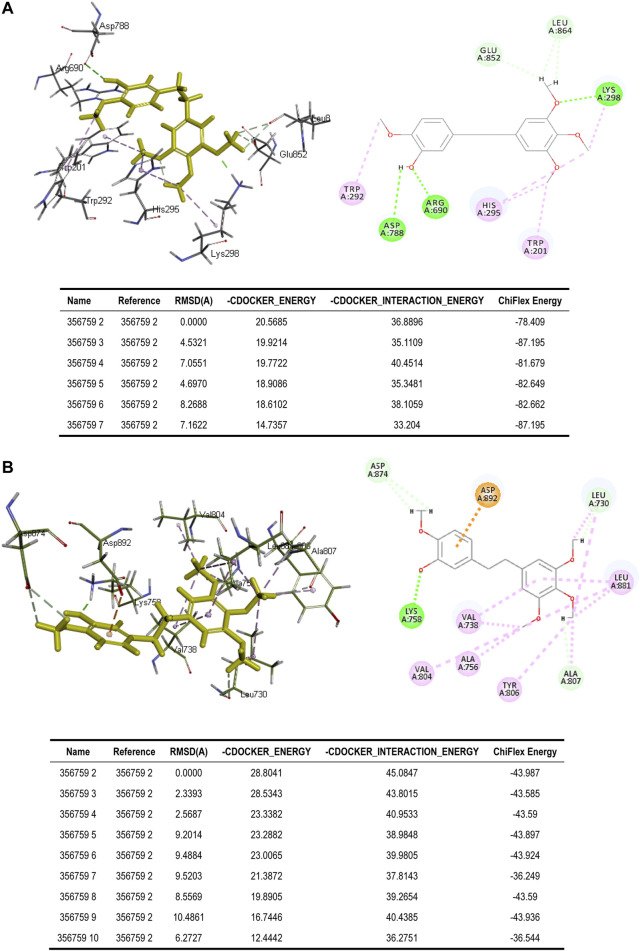 FIGURE 4