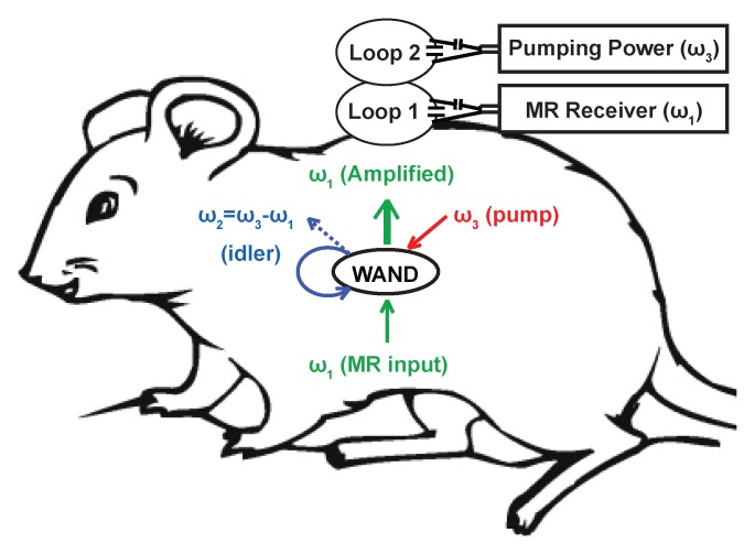 Figure 1a: