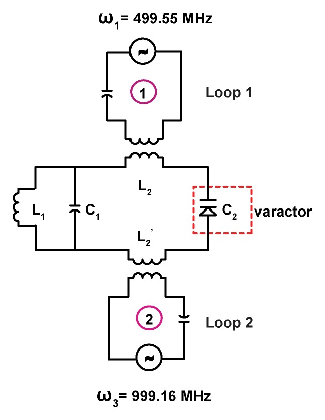 Figure 1b: