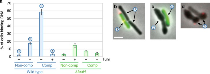 Fig. 3