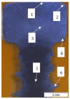 Figure 17