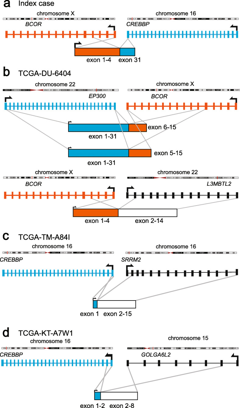 Fig. 4