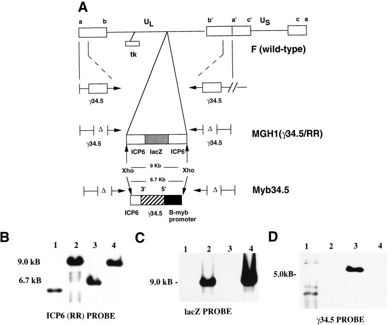 FIG. 1