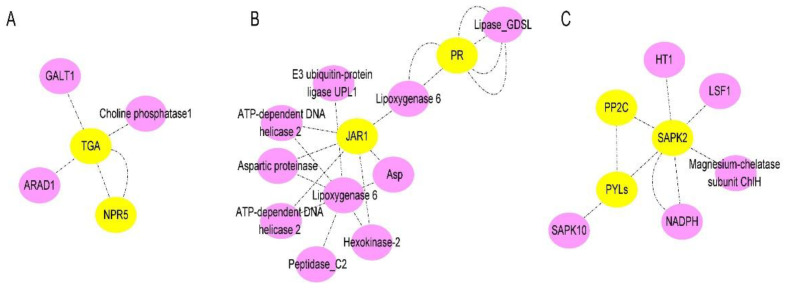 Figure 9