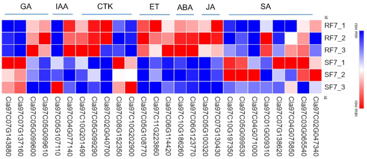 Figure 7