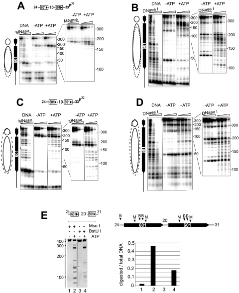 FIG. 5.