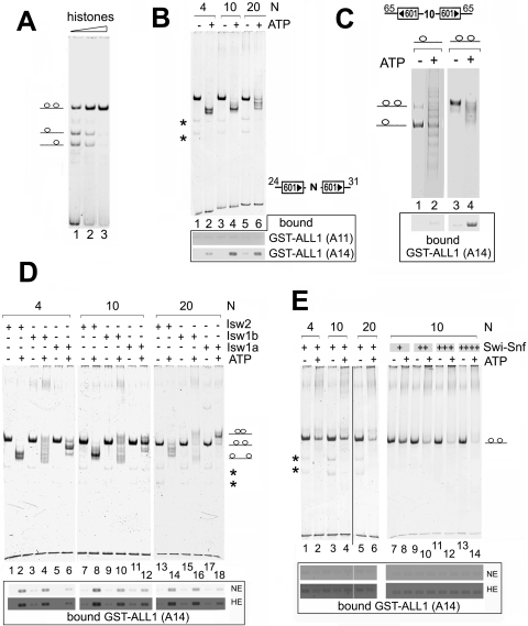 FIG. 4.