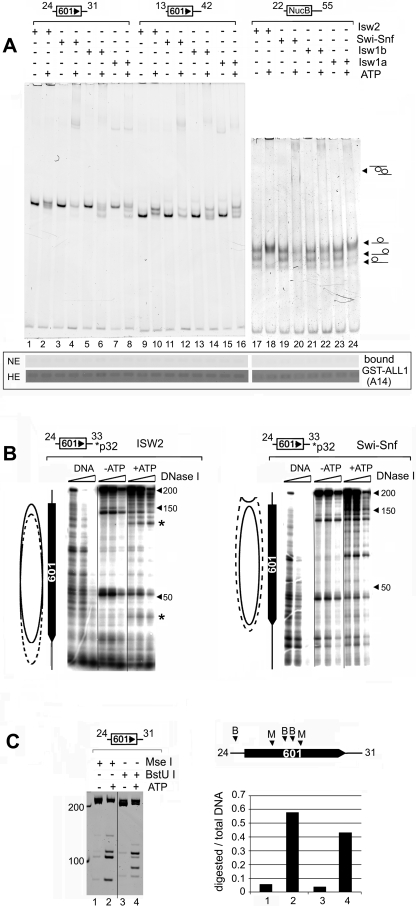 FIG. 3.