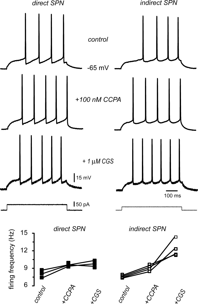 Fig. 8