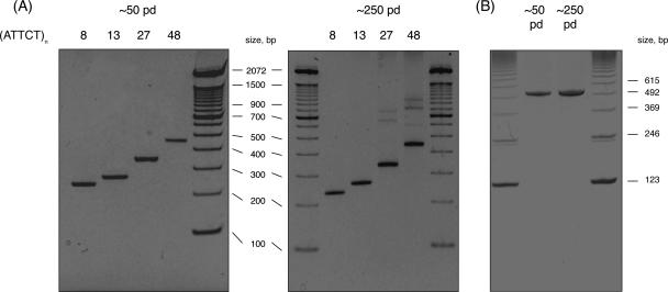 FIG. 7.