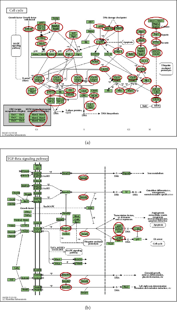 Figure 11