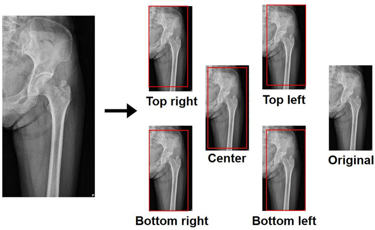 Fig 3