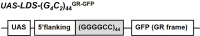 Figure 3—figure supplement 1.