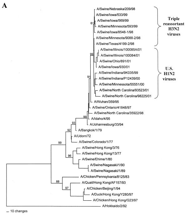 FIG. 2.