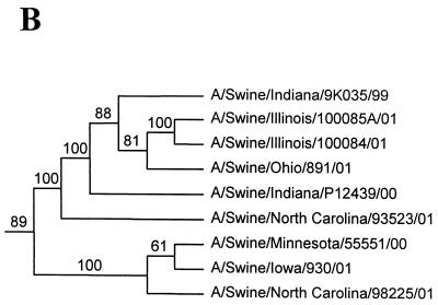 FIG. 1.