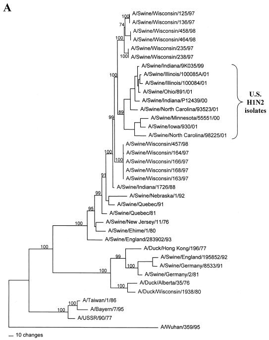 FIG. 1.