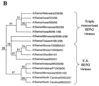 FIG. 2.