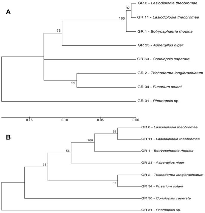 Figure 6