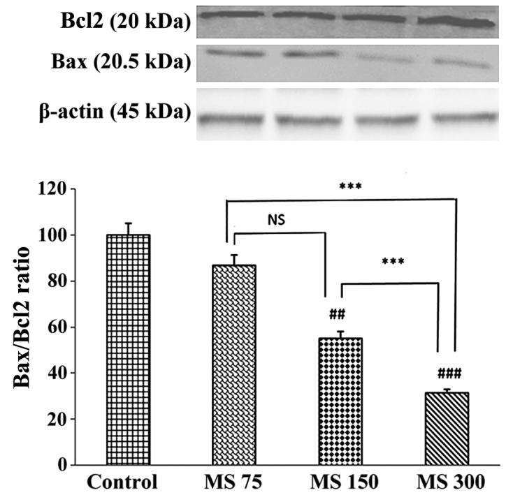 Figure 3.