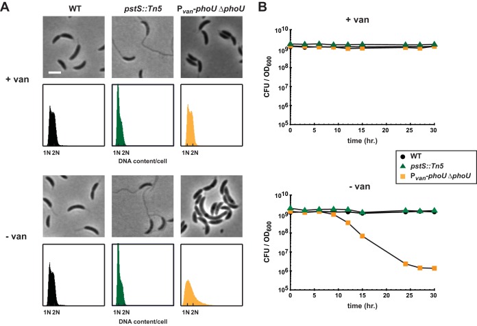 FIG 4