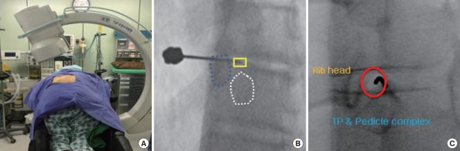 Fig. 3.