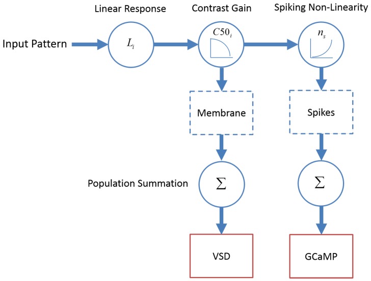 Figure 7.