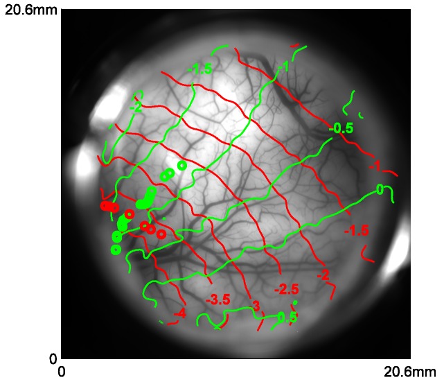 Figure 5.