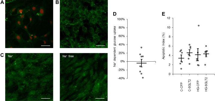 Fig. 8.