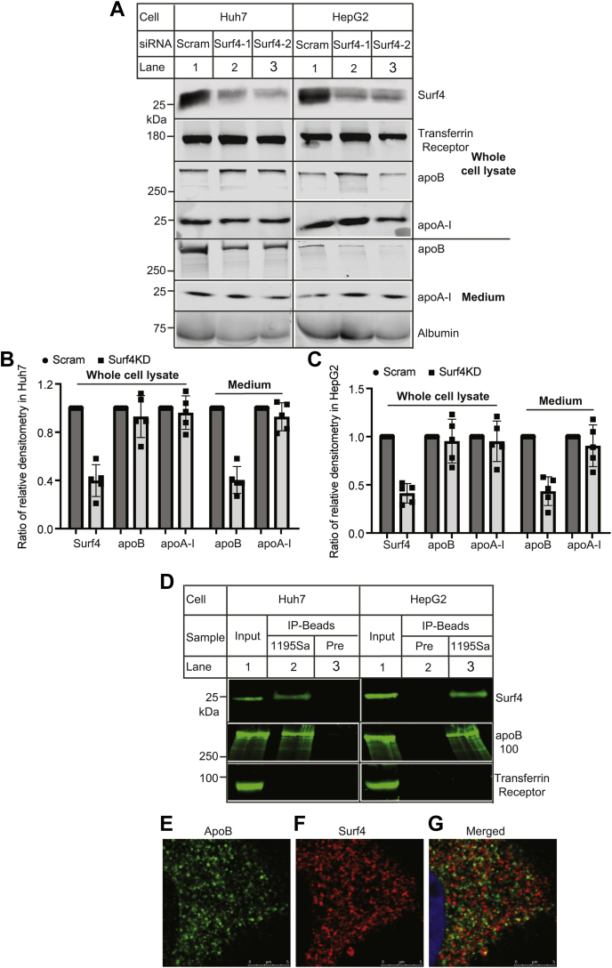 Fig. 4