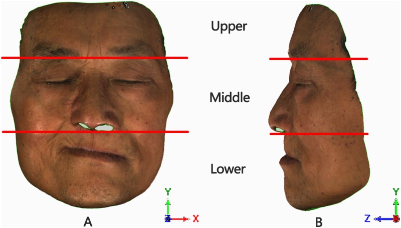 Fig 2