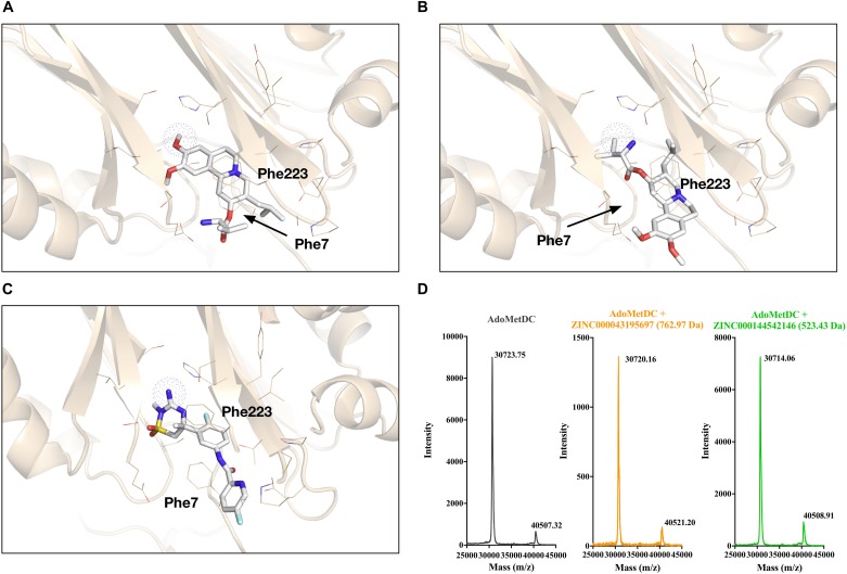 FIGURE 4