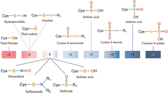 FIGURE 1