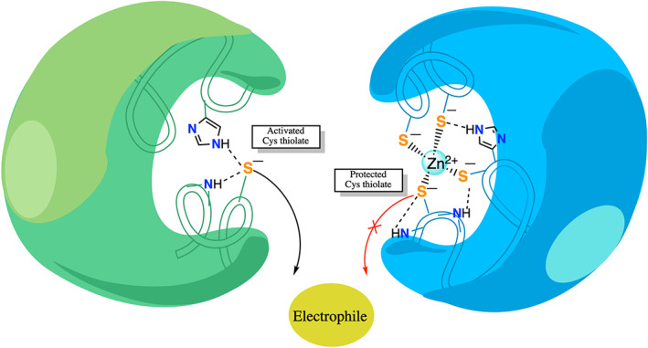 FIGURE 3