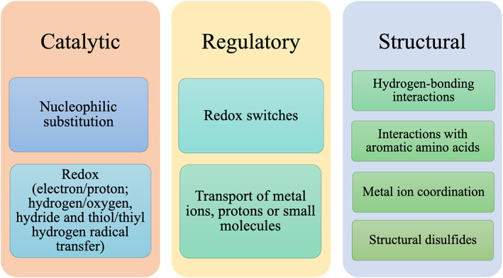 FIGURE 2