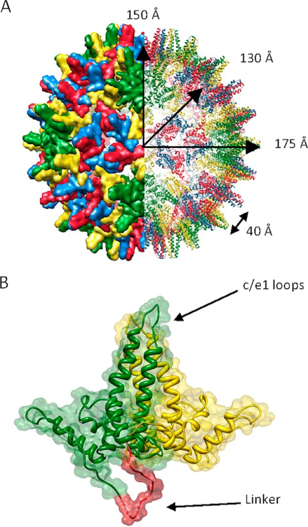 FIGURE 1.