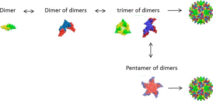 FIGURE 7.