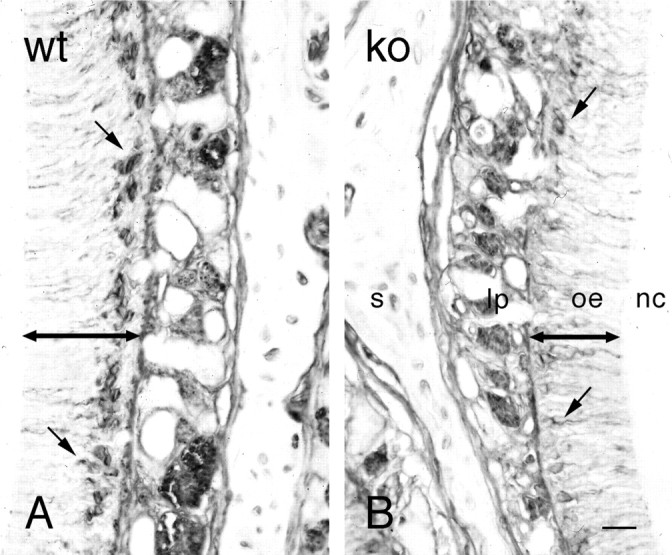 Fig. 9.