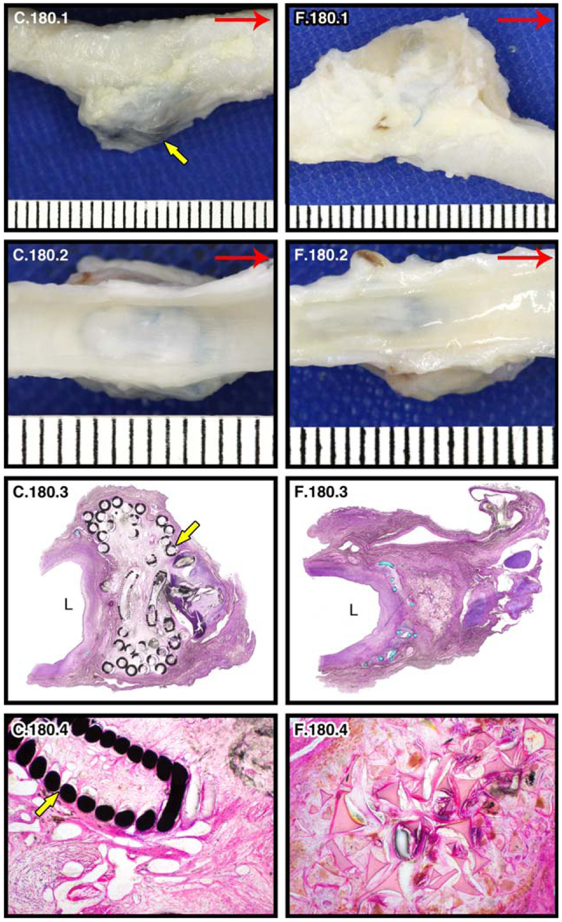 FIGURE 9.