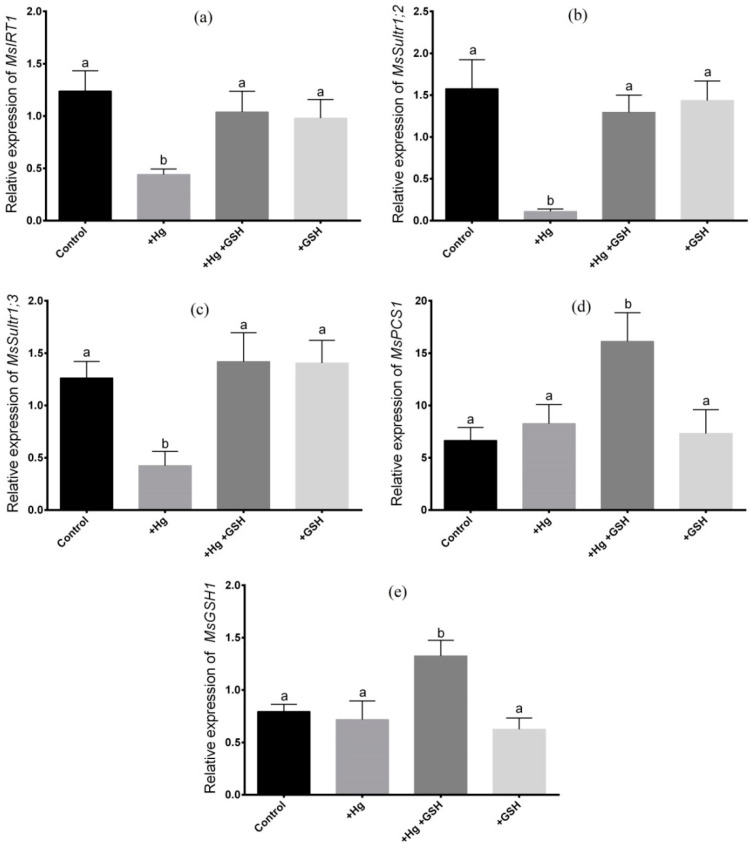 Figure 5