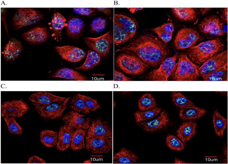 Fig. 8