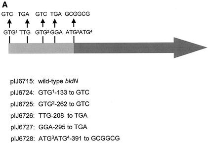 FIG. 5.