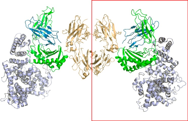 FIGURE 11.