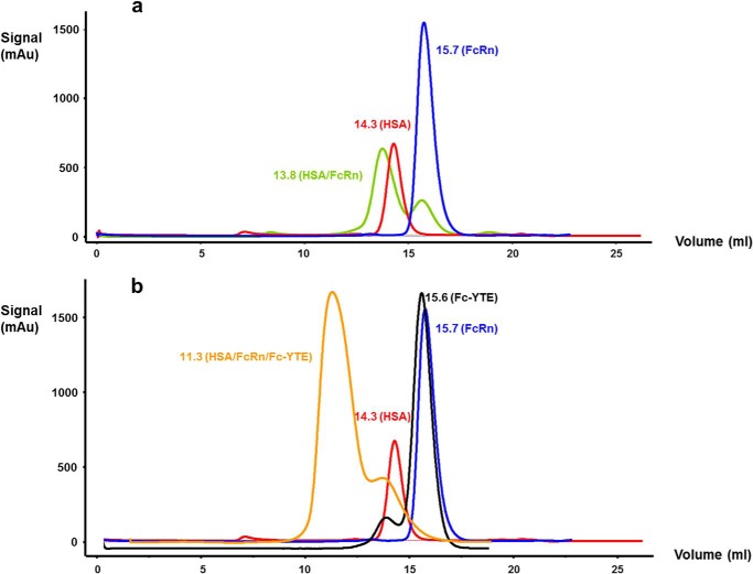 FIGURE 2.