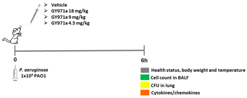 Figure 8