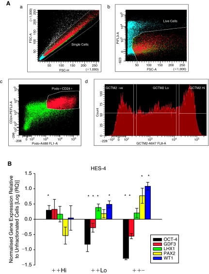 FIG. 2.