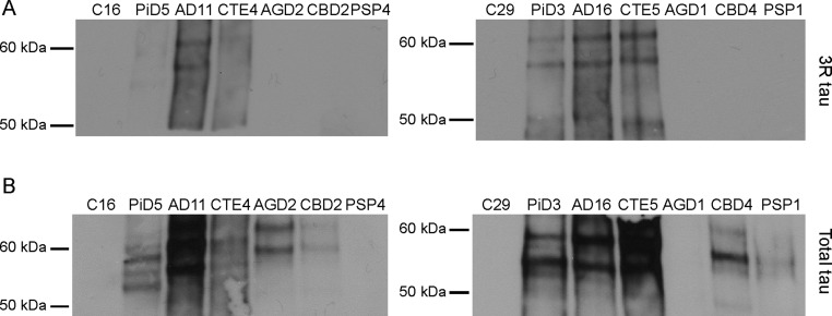 Fig. S1.