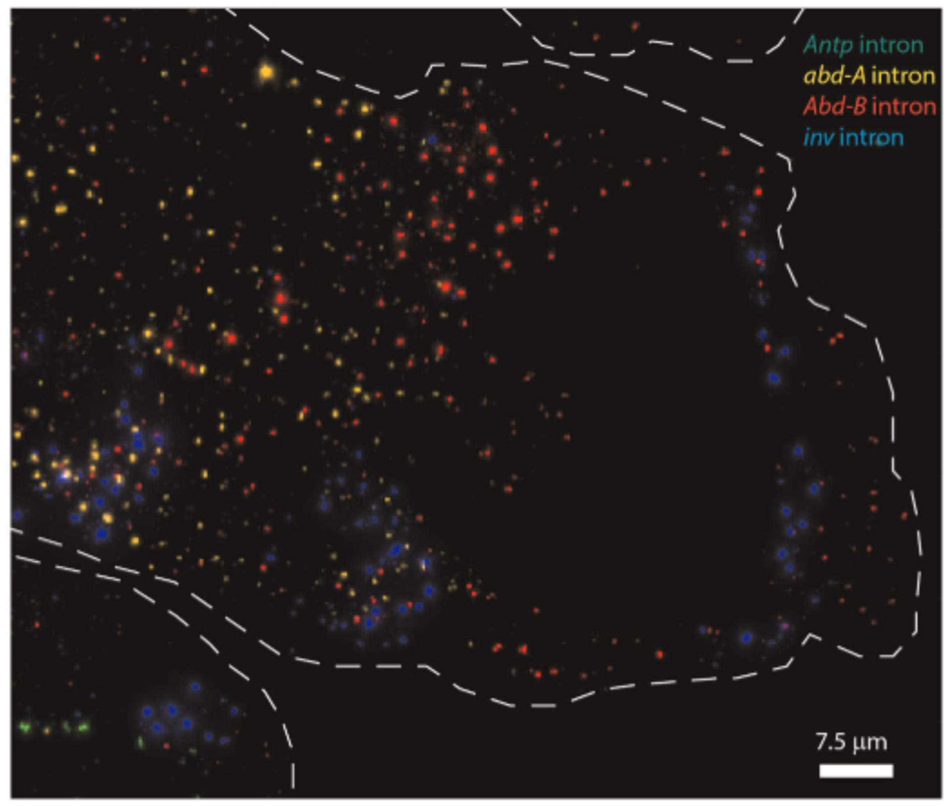 Extended Data Fig. 1 |