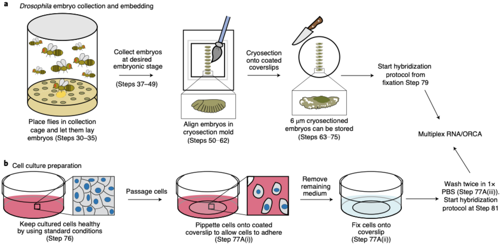 Fig. 7 |