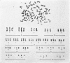 929