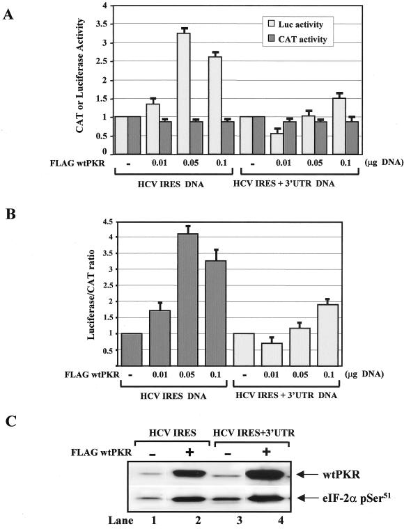 FIG. 8.